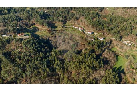 Farm i Cacarilhe e Infesta, Braga, Cacarilhe e Infesta - € 95.000 | Ref: 126221008-326 - foto 10