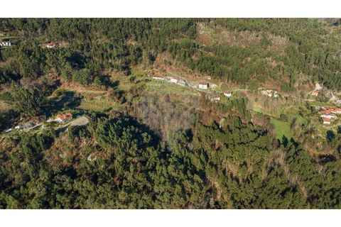 Farm i Cacarilhe e Infesta, Braga, Cacarilhe e Infesta - € 95.000 | Ref: 126221008-326 - foto 11