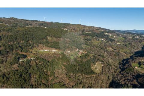 Farm i Cacarilhe e Infesta, Braga, Cacarilhe e Infesta - € 95.000 | Ref: 126221008-326 - foto 12