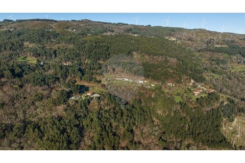 Farm i Cacarilhe e Infesta, Braga, Cacarilhe e Infesta - € 95.000 | Ref: 126221008-326 - foto 13