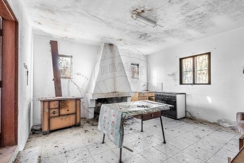 Farm i Cacarilhe e Infesta, Braga, Cacarilhe e Infesta - € 95.000 | Ref: 126221008-326 - foto 15