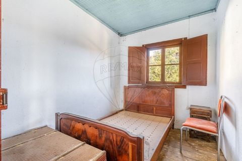 Farm i Cacarilhe e Infesta, Braga, Cacarilhe e Infesta - € 95.000 | Ref: 126221008-326 - foto 18