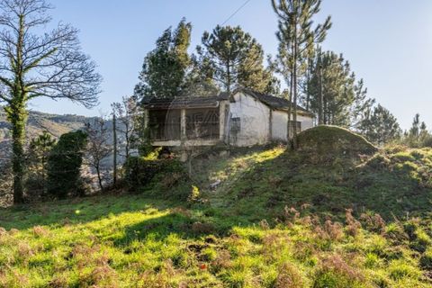 Farm i Cacarilhe e Infesta, Braga, Cacarilhe e Infesta - € 95.000 | Ref: 126221008-326 - foto 22