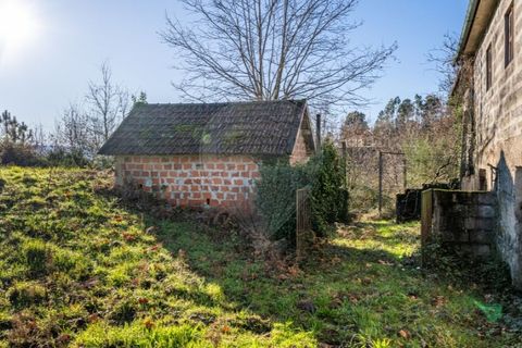 Farm i Cacarilhe e Infesta, Braga, Cacarilhe e Infesta - € 95.000 | Ref: 126221008-326 - foto 23