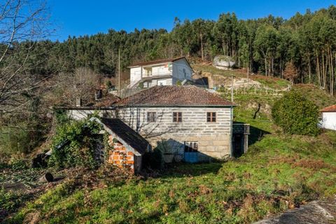 Farm i Cacarilhe e Infesta, Braga, Cacarilhe e Infesta - € 95.000 | Ref: 126221008-326 - foto 25