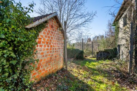 Farm i Cacarilhe e Infesta, Braga, Cacarilhe e Infesta - € 95.000 | Ref: 126221008-326 - foto 26