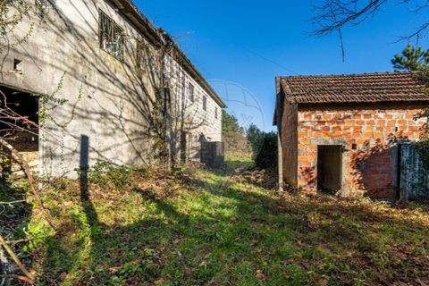 Farm i Cacarilhe e Infesta, Braga, Cacarilhe e Infesta - € 95.000 | Ref: 126221008-326 - foto 28
