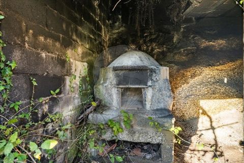 Farm i Cacarilhe e Infesta, Braga, Cacarilhe e Infesta - € 95.000 | Ref: 126221008-326 - foto 29