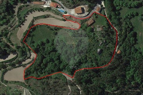 Farm i Cacarilhe e Infesta, Braga, Cacarilhe e Infesta - € 95.000 | Ref: 126221008-326 - foto 32
