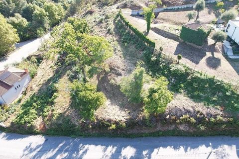Helårsgrund i Sernancelhe, Viseu, Sernancelhe - € 82.500 | Ref: 126311009-5 - foto 3