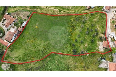 Helårsgrund i Cabeceiras de Basto, Braga, Cabeceiras de Basto - € 299.000 | Ref: 126311008-104 - foto 2