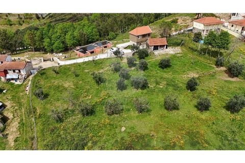 Helårsgrund i Cabeceiras de Basto, Braga, Cabeceiras de Basto - € 299.000 | Ref: 126311008-104 - foto 3