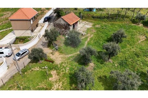 Helårsgrund i Cabeceiras de Basto, Braga, Cabeceiras de Basto - € 299.000 | Ref: 126311008-104 - foto 4