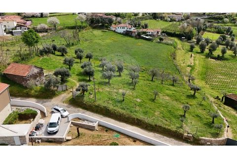 Helårsgrund i Cabeceiras de Basto, Braga, Cabeceiras de Basto - € 299.000 | Ref: 126311008-104 - foto 5