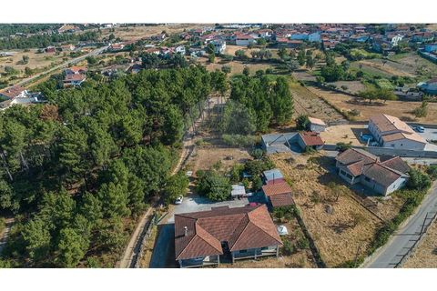 Helårsgrund i Chaves, Vila Real, Chaves - € 54.900 | Ref: 126381014-72 - foto 13