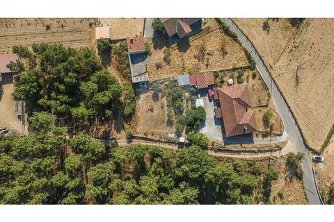 Helårsgrund i Chaves, Vila Real, Chaves - € 54.900 | Ref: 126381014-72 - foto 15