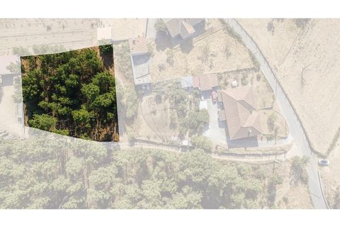 Helårsgrund i Chaves, Vila Real, Chaves - € 54.900 | Ref: 126381014-72 - foto 18