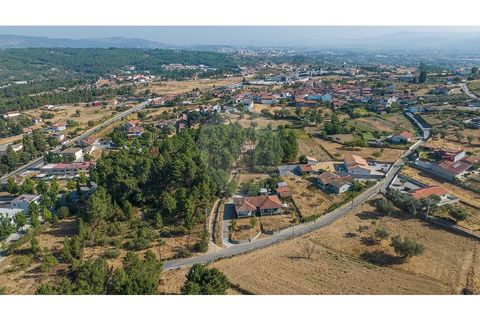 Helårsgrund i Chaves, Vila Real, Chaves - € 54.900 | Ref: 126381014-72 - foto 3