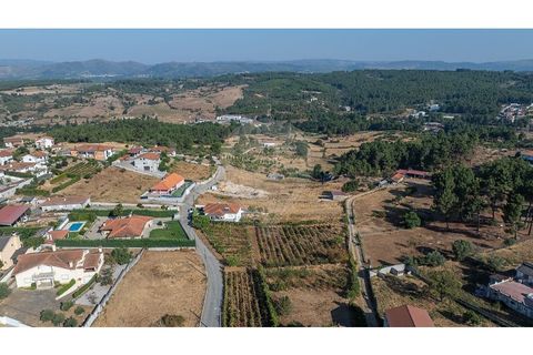 Helårsgrund i Chaves, Vila Real, Chaves - € 24.900 | Ref: 126381014-70 - foto 15
