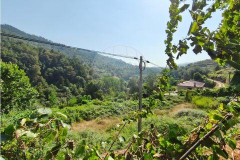 Villa a Chamoim e Vilar, Braga, Chamoim e Vilar - € 195.000 | Ref: 126971023-15 - foto 4