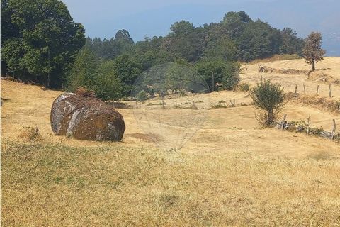 Terra a Chamoim e Vilar, Braga, Chamoim e Vilar - € 40.000 | Ref: 126971023-16 - foto 13