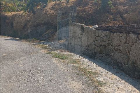 Terra a Chamoim e Vilar, Braga, Chamoim e Vilar - € 40.000 | Ref: 126971023-16 - foto 9