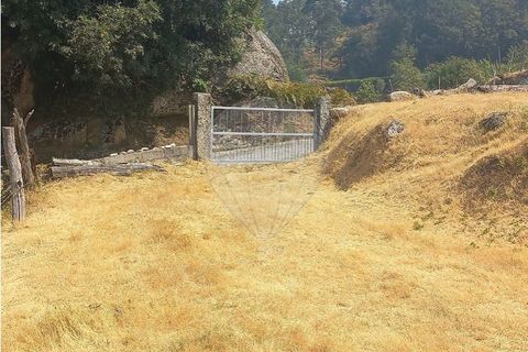 Terra a Chamoim e Vilar, Braga, Chamoim e Vilar - € 40.000 | Ref: 126971023-16 - foto 3