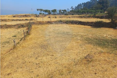 Terra a Chamoim e Vilar, Braga, Chamoim e Vilar - € 40.000 | Ref: 126971023-16 - foto 6