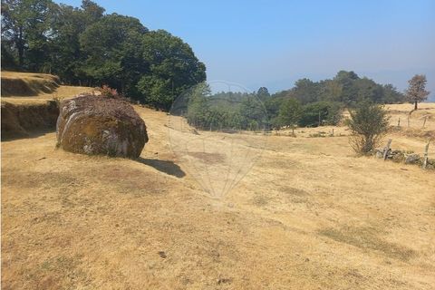 Terra a Chamoim e Vilar, Braga, Chamoim e Vilar - € 40.000 | Ref: 126971023-16 - foto 4