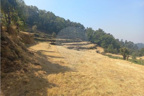 Terra a Chamoim e Vilar, Braga, Chamoim e Vilar - € 40.000 | Ref: 126971023-16 - foto 5