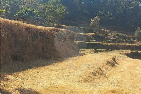 Terra a Chamoim e Vilar, Braga, Chamoim e Vilar - € 40.000 | Ref: 126971023-16 - foto 7