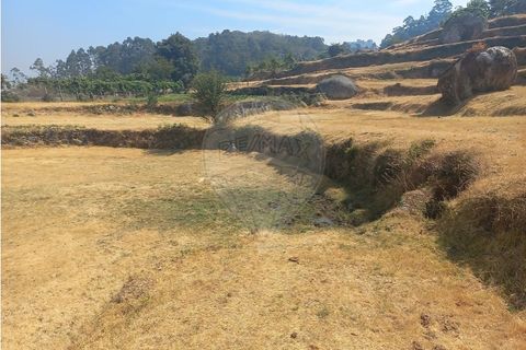 Terra a Chamoim e Vilar, Braga, Chamoim e Vilar - € 40.000 | Ref: 126971023-16 - foto 8