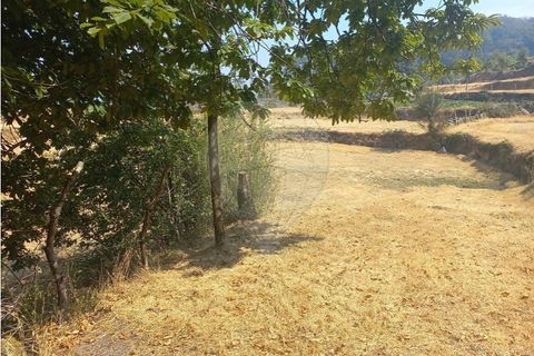 Terra a Chamoim e Vilar, Braga, Chamoim e Vilar - € 40.000 | Ref: 126971023-16 - foto 11