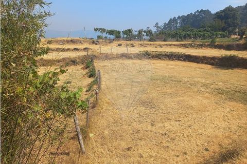 Terra a Chamoim e Vilar, Braga, Chamoim e Vilar - € 40.000 | Ref: 126971023-16 - foto 12