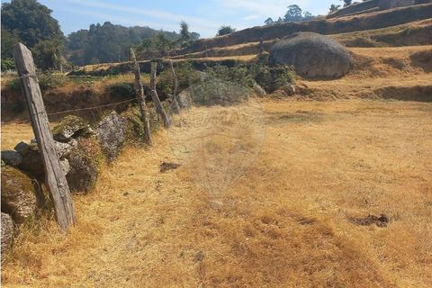 Terra a Chamoim e Vilar, Braga, Chamoim e Vilar - € 40.000 | Ref: 126971023-16 - foto 14