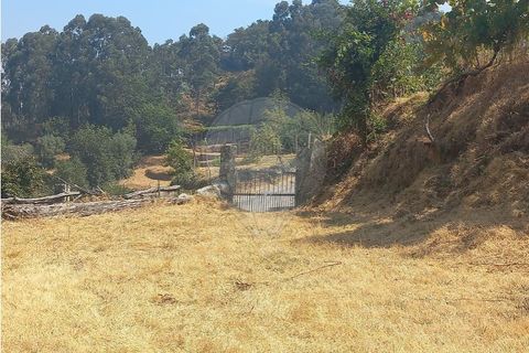 Terra a Chamoim e Vilar, Braga, Chamoim e Vilar - € 40.000 | Ref: 126971023-16 - foto 15