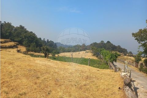 Terra a Chamoim e Vilar, Braga, Chamoim e Vilar - € 40.000 | Ref: 126971023-16 - foto 16