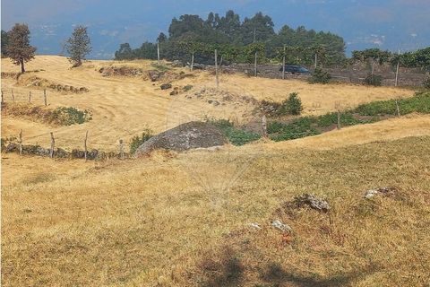Terra a Chamoim e Vilar, Braga, Chamoim e Vilar - € 40.000 | Ref: 126971023-16 - foto 17