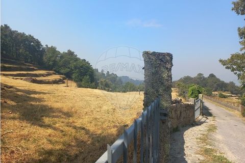 Terra a Chamoim e Vilar, Braga, Chamoim e Vilar - € 40.000 | Ref: 126971023-16 - foto 19