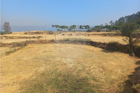 Terra a Chamoim e Vilar, Braga, Chamoim e Vilar - € 40.000 | Ref: 126971023-16 - foto 20
