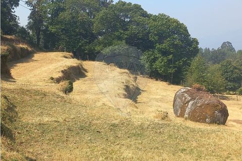 Terra a Chamoim e Vilar, Braga, Chamoim e Vilar - € 40.000 | Ref: 126971023-16 - foto 21