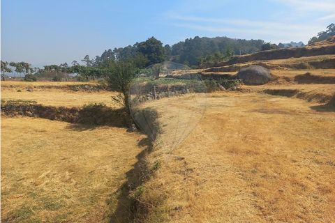 Terra a Chamoim e Vilar, Braga, Chamoim e Vilar - € 40.000 | Ref: 126971023-16 - foto 22
