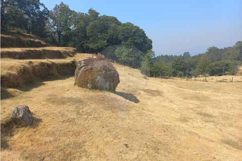 Terra a Chamoim e Vilar, Braga, Chamoim e Vilar - € 40.000 | Ref: 126971023-16 - foto 23