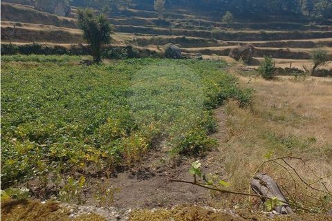 Terra a Chamoim e Vilar, Braga, Chamoim e Vilar - € 40.000 | Ref: 126971023-16 - foto 25