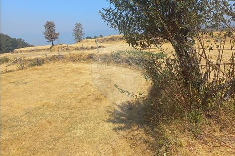 Terra a Chamoim e Vilar, Braga, Chamoim e Vilar - € 40.000 | Ref: 126971023-16 - foto 26