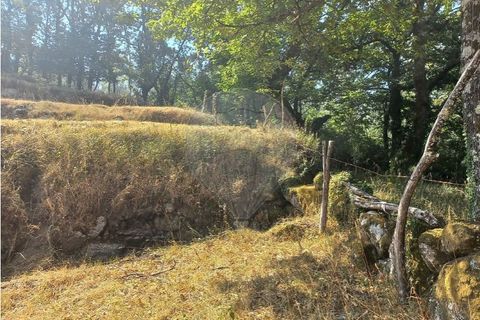 Terra a Chamoim e Vilar, Braga, Chamoim e Vilar - € 40.000 | Ref: 126971023-16 - foto 29