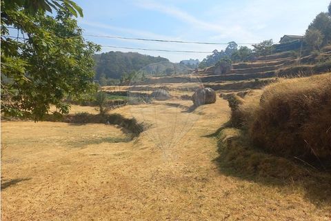 Terra a Chamoim e Vilar, Braga, Chamoim e Vilar - € 40.000 | Ref: 126971023-16 - foto 30