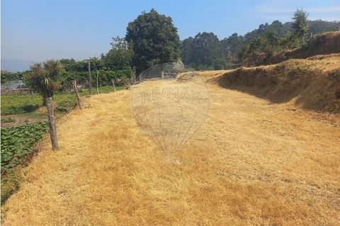 Terra a Chamoim e Vilar, Braga, Chamoim e Vilar - € 40.000 | Ref: 126971023-16 - foto 31