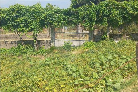 Terra a Chamoim e Vilar, Braga, Chamoim e Vilar - € 40.000 | Ref: 126971023-16 - foto 28