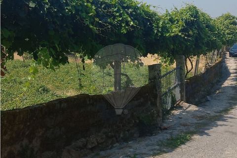 Terra a Chamoim e Vilar, Braga, Chamoim e Vilar - € 40.000 | Ref: 126971023-16 - foto 10